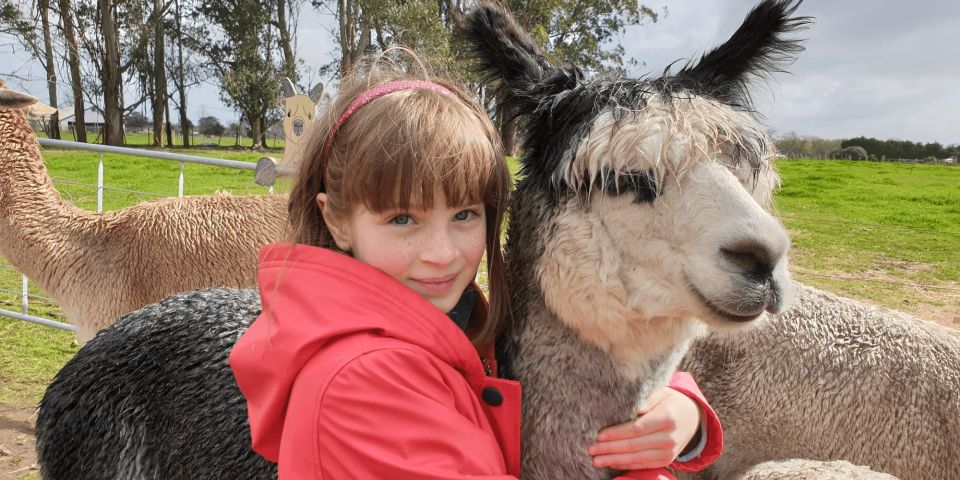 Classic Alpaca Tour in New Zealand - Key Points