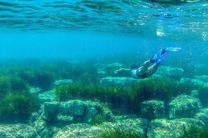 Classic Boat Tour of Naples Bay - Meeting and Pickup