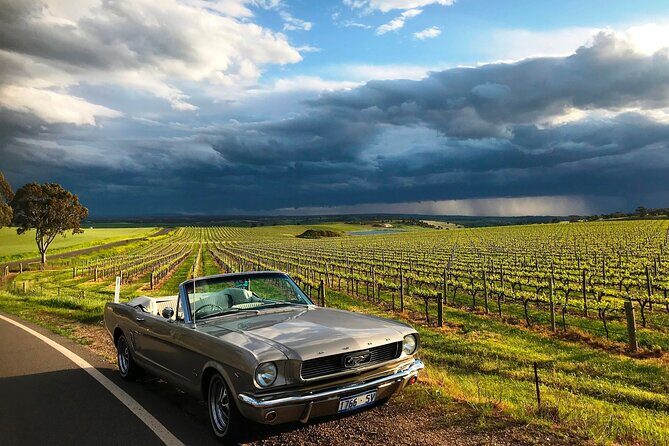 Classic Mustang Convertible Barossa Valley Half Day Private Tour For 2 - Wine, Food, and Beyond