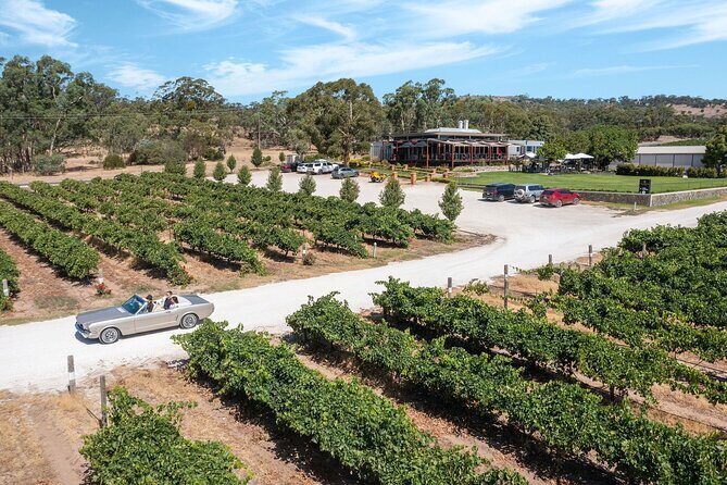 Classic Mustang Convertible Barossa Valley Half Day Private Tour For 2 - The Value of a Private, Tailored Tour