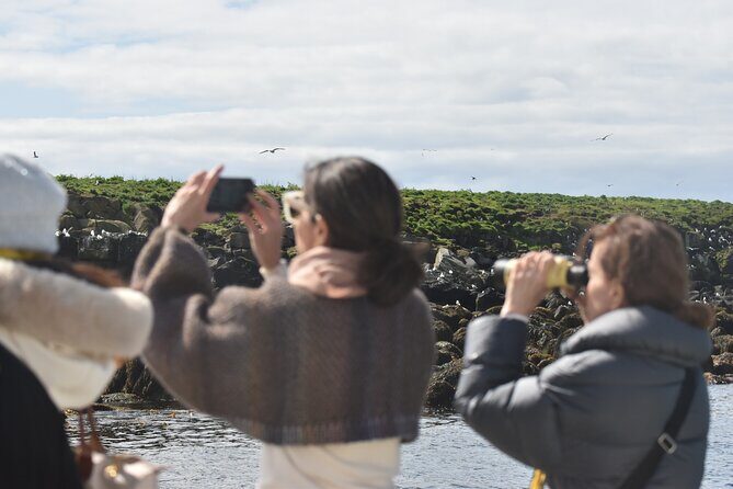 Classic Puffin Watching Cruise from Downtown Reykjavík - An In-Depth Look at the Puffin Watching Experience