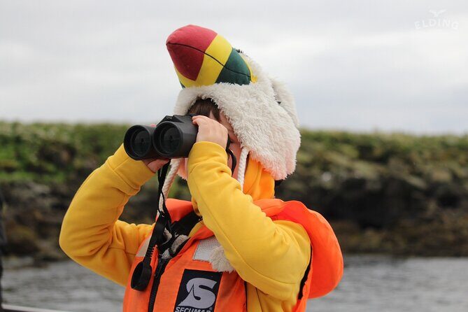 Classic Puffin Watching Cruise from Downtown Reykjavík - Authentic Experiences and Authentic Reviews