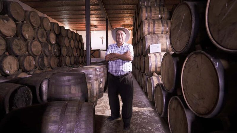 Classic Tequila Route Tour from Guadalajara and cantaritos el GÜERO!!! - Distillery Visit: From Harvest to Bottle