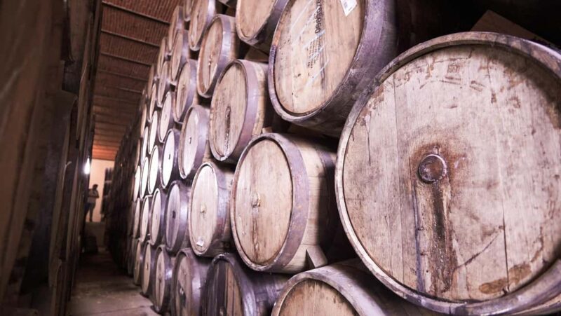 Classic Tequila Route Tour from Guadalajara and cantaritos el GÜERO!!! - Exploring the UNESCO Agave Landscape