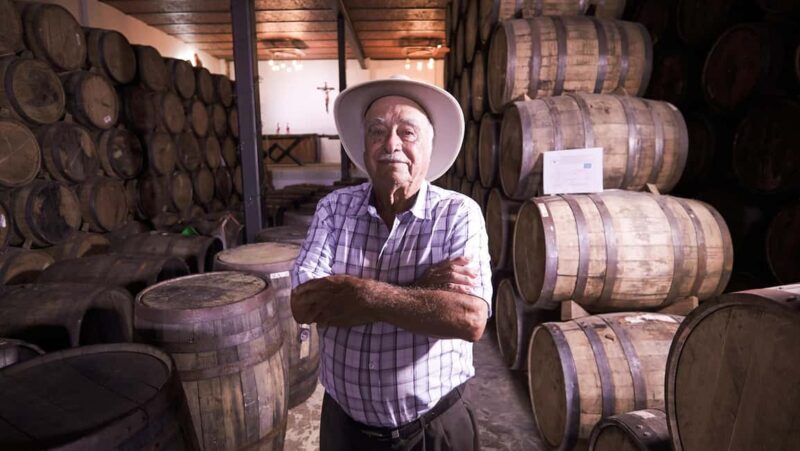 Classic Tequila Route Tour from Guadalajara and cantaritos el GÜERO!!! - Local Cuisine and Cultural Stops