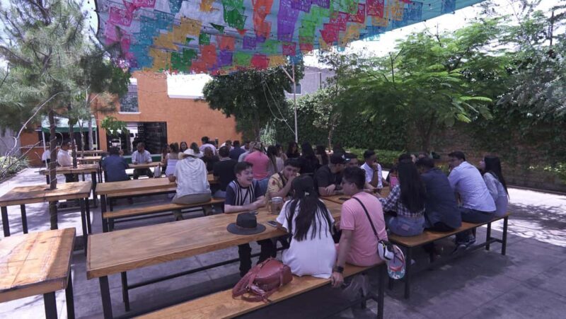 Classic Tequila Route Tour from Guadalajara and cantaritos el GÜERO!!! - The Tour Experience: Pros and Cons