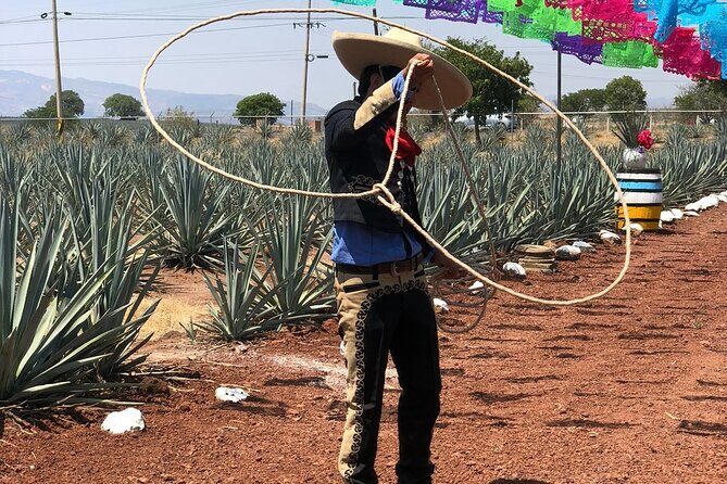 Classic Tequila Tour and CANTARITOS EL GÜERO - An In-Depth Look at the Tour Experience