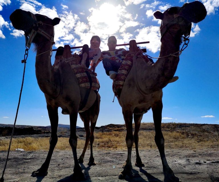 Classic (Vintage) Car & Jeep Safari & Shooting with Camels - An In-Depth Look at the Experience