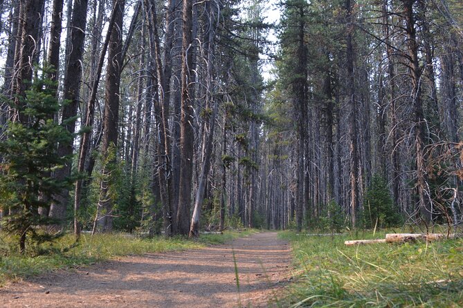 Classic Yellowstone Hike to the Shores of Lake Shoshone (Private up to 8 People) - Health and Safety Guidelines