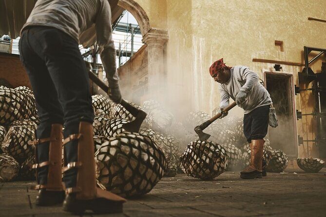 Classical Experience - An Honest Look at the Classic Tequila Experience in Tequila, Mexico