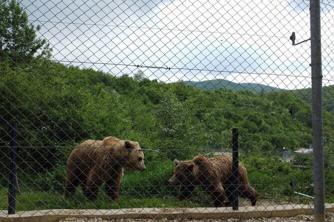 Classical Tour of Kosovo - Food & Drink