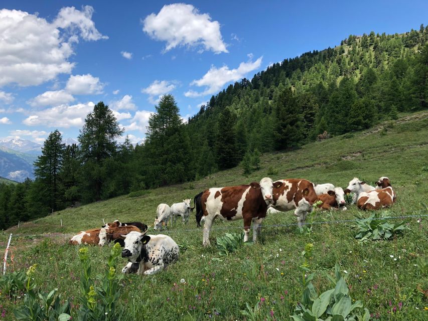 Claviere (To): Bike Trip to Lake Nero - Recap