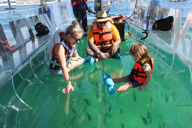 Clear Boat Ride in Los Cabos - Pickup Options