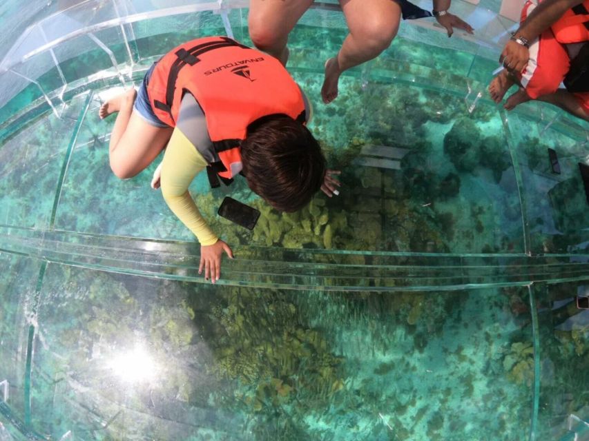 Clear Boat Tour in Cozumel - Tour Inclusions