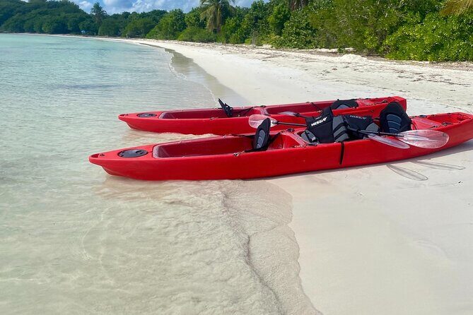 Clear Bottom Kayaking and Snorkel Reef Exploration - Authentic Reviews and What They Say