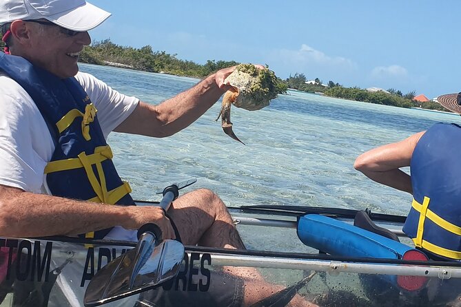 Clear Bottom Kayaks Mangrove Tour - Tips for an Enjoyable Experience