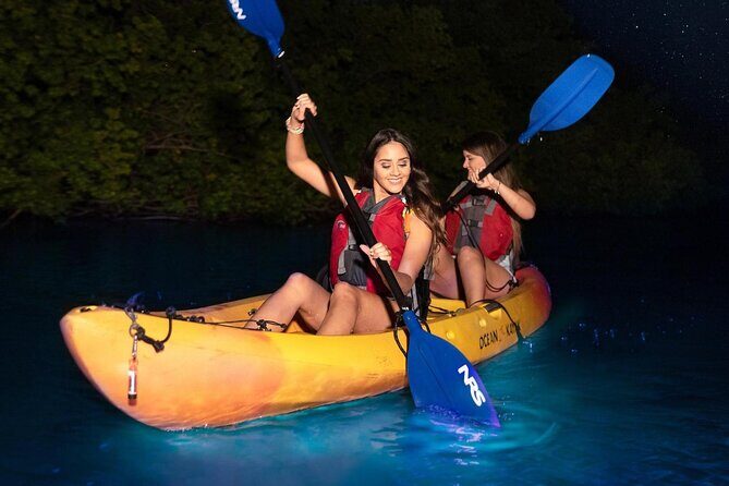 CLEAR BOTTOM KAYAKS Tour in Bioluminescent, Mosquito Bay - What Makes This Tour Special?