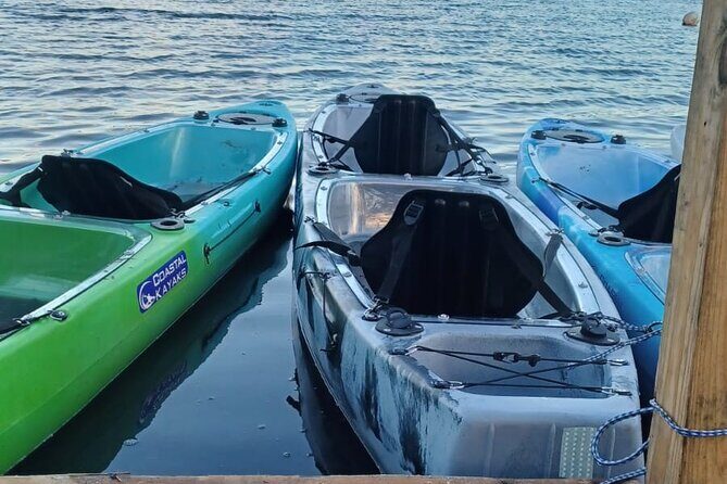 CLEAR BOTTOM KAYAKS Tour in Bioluminescent, Mosquito Bay - Cost and Value Assessment