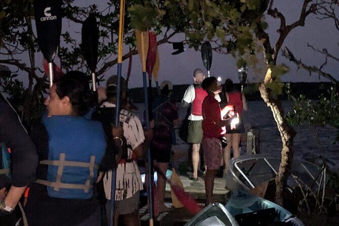 CLEAR BOTTOM KAYAKS Tour in Bioluminescent, Mosquito Bay - Authentic Feedback from Travelers