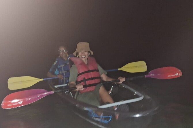 CLEAR BOTTOM KAYAKS Tour in Bioluminescent, Mosquito Bay - Final Verdict: Is This Tour Right for You?