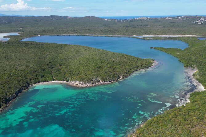 CLEAR BOTTOM KAYAKS Tour in Bioluminescent, Mosquito Bay - Frequently Asked Questions