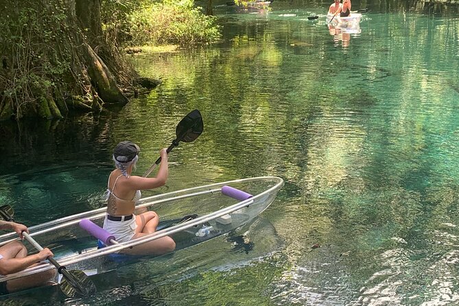 Clear Canoeing and Wildlife Sightseeing at Silver Springs - Customer Experiences