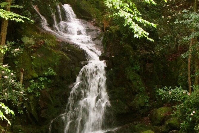 Clear Creek Falls Hike - An In-Depth Look at the Tour