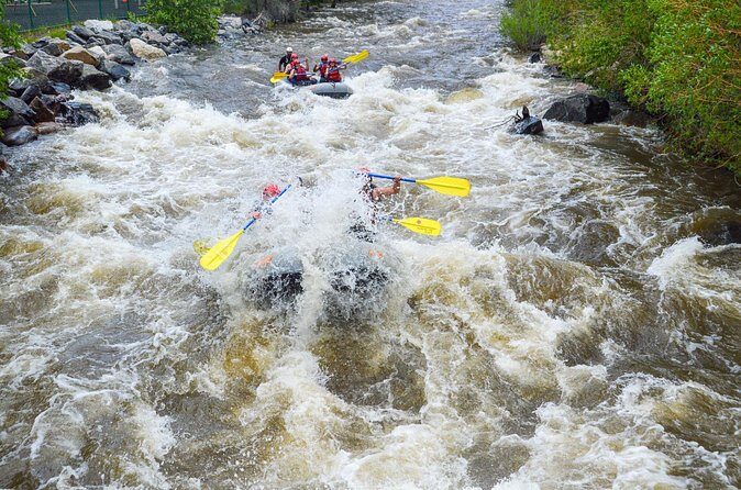 Clear Creek Intermediate Rafting Trip with Lunch - Denver - Price and Value