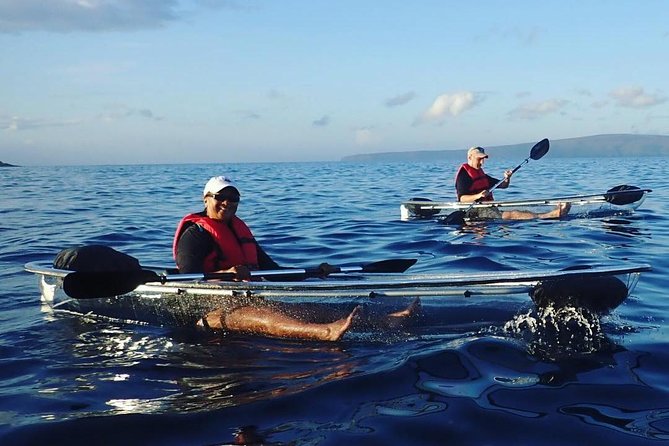 Clear Kayak and Snorkel Tour at Turtle Town, Makena - Traveler Experiences