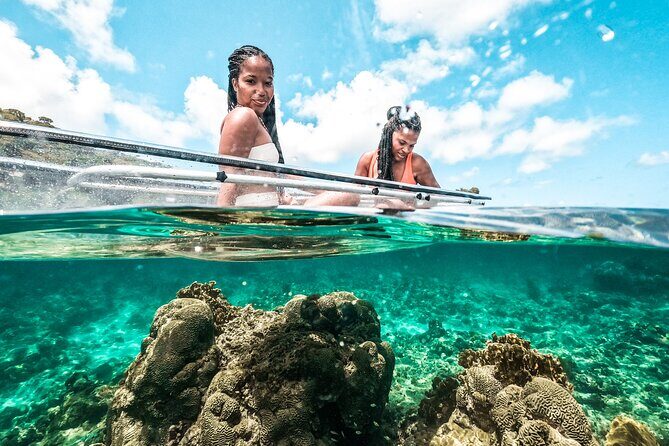 Clear Kayak Coral Reef Tour in Grenada - The Sum Up