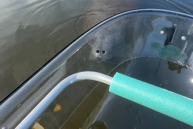 Clear Kayak Ecotour at Robinson Preserve in Bradenton, Florida - Good To Know