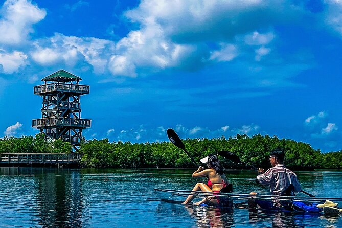 Clear Kayak Ecotour at Robinson Preserve in Bradenton, Florida - Inclusions for Participants