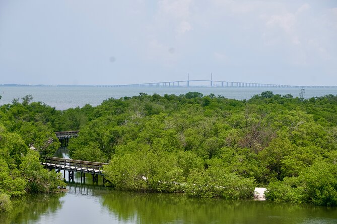 Clear Kayak Ecotour at Robinson Preserve in Bradenton, Florida - Experience Highlights