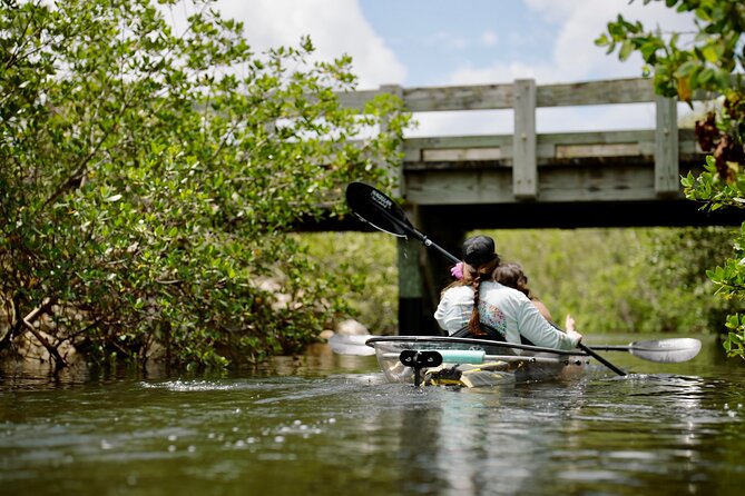 Clear Kayak Ecotour at Robinson Preserve in Bradenton, Florida - Customer Feedback Insights