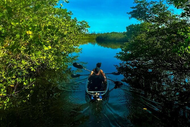 Clear Kayak Ecotour at Robinson Preserve in Bradenton, Florida - Tips for a Great Experience