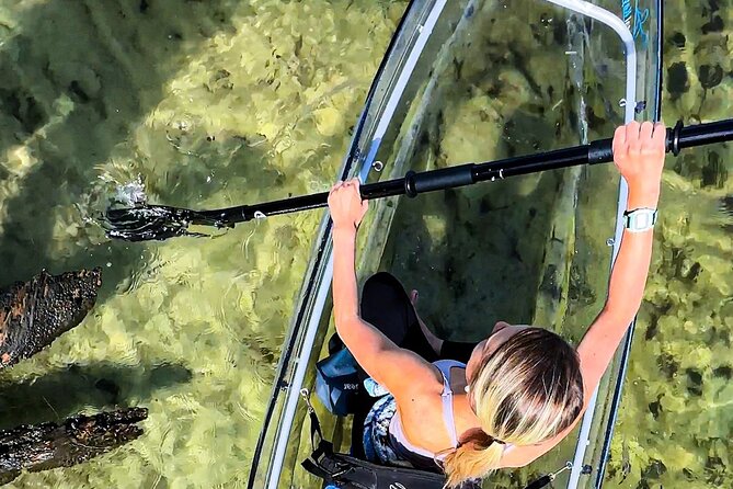 Clear Kayak Ecotour Destin Ft. Walton Beach - Overview and Details