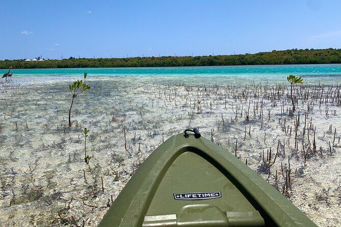 Clear kayak Grand Turk Island Kayak Tour of the mangroves - FAQ