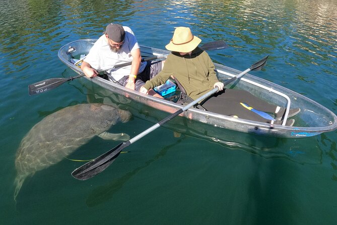 Clear Kayak Manatee Ecotour of Crystal River - Guides