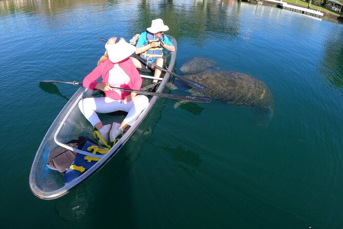 Clear Kayak Manatee Ecotour of Crystal River - Overall Experience