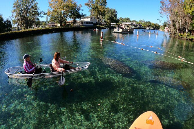 Clear Kayak Manatee Ecotour of Crystal River - Frequently Asked Questions