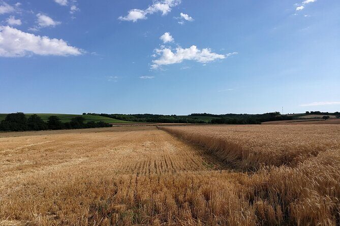 Clear Kayak On River Gacka - Final Thoughts: Is It Worth It?