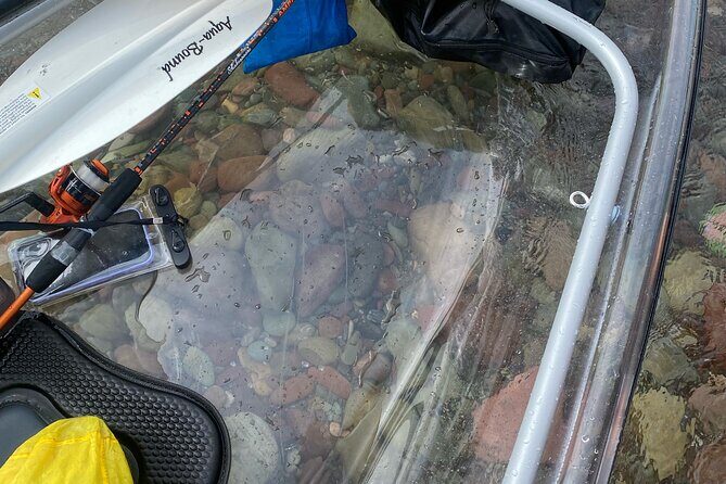 Clear Kayak Rentals for Flathead Lake - Exploring Flathead Lake in a Whole New Light