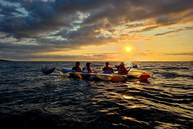 Clear Kayak Sunset and Glow Tour in Maui - An In-Depth Look at the Maui Sunset and Glow Kayak Tour