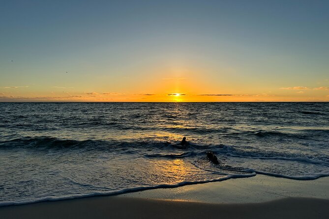 CLEAR Kayak Sunset & Light Tour - Bonita Springs / Ft Myers Beach - Things To Known