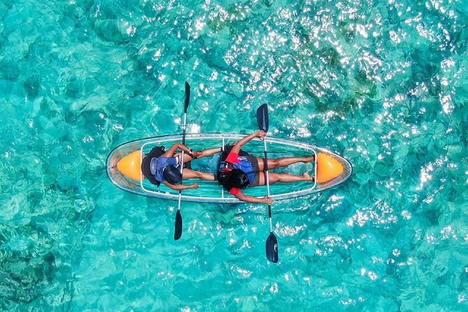 Clear Kayak Tour - Customer Experiences