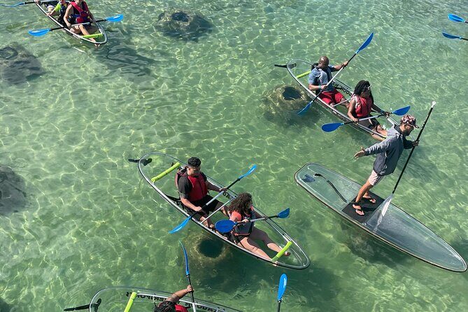 Clear Kayak Tour in Condado Lagoon - Key Points