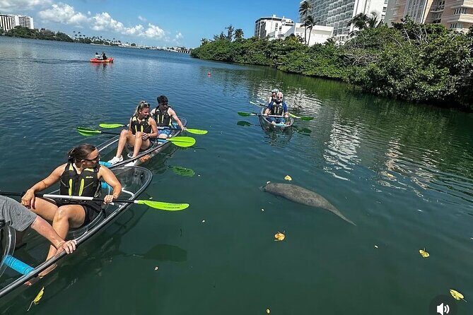Clear Kayak Tour in Condado Lagoon - Final Thoughts