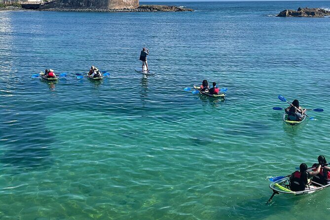 Clear Kayak Tour in Condado Lagoon - FAQ About the Clear Kayak Tour in Condado Lagoon