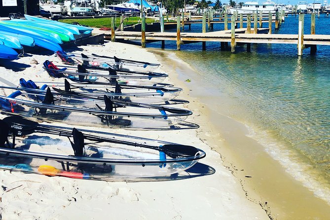 Clear Kayak Tour in Jupiter - Reviews