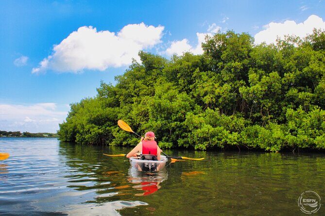 Clear Kayak Tour in Mangrove Antigua - What Makes This Tour Special